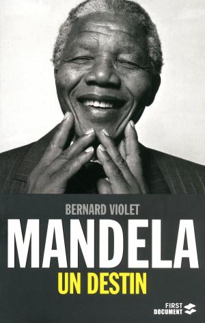 Cover of the book Mandela, un destin by Dimitri CASALI, Fabien TESSON