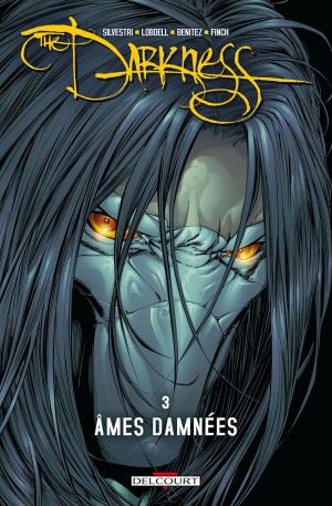 Cover of the book Darkness T03 by Shovel