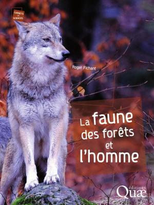 Cover of the book La faune des forêts et l'homme by Daniel Terrasson, Yves Luginbühl