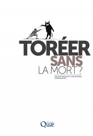 Cover of the book Toréer sans la mort ? by Denis Barthelemy, Jacques David