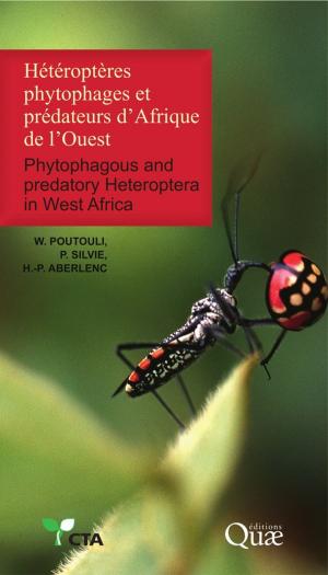 Cover of the book Hétéroptères phytophages et prédateurs d'Afrique de l'Ouest by François Couplan
