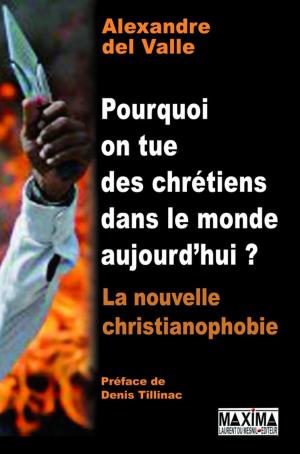 Cover of the book Pourquoi on tue des chrétiens dans le monde aujourd'hui ? - la nouvelle christianophobie by Emmanuel Pierrat