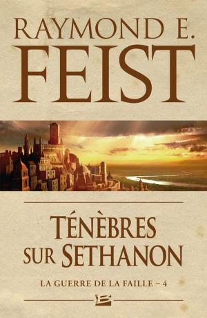 Cover of the book Ténèbres sur Sethanon by Serge Brussolo