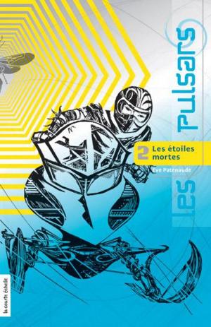Cover of the book Les étoiles mortes by Matthieu Simard