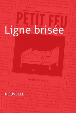 Cover of the book Ligne brisée by Marie Hélène Poitras