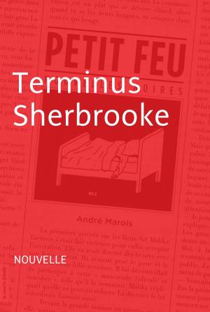 Cover of the book Terminus Sherbrooke by Benoît Bouthillette