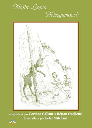 Cover of the book Maître Lapin Ableegumooch by Paul Roux