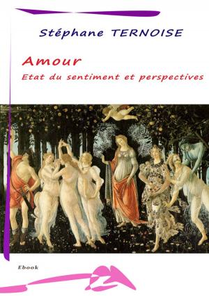 bigCover of the book Amour : État du sentiment et perspectives by 