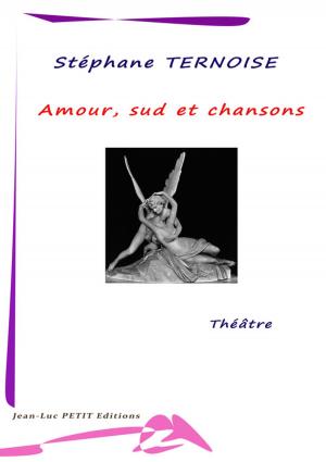Cover of the book Amour sud et chansons by David Santoro