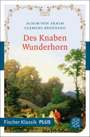 Cover of the book Des Knaben Wunderhorn by Prof. Elisabeth Bronfen