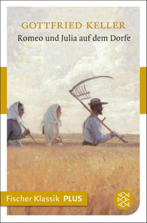 Book cover of Romeo und Julia auf dem Dorfe