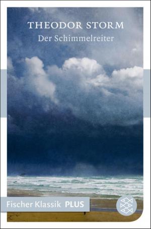 Book cover of Der Schimmelreiter