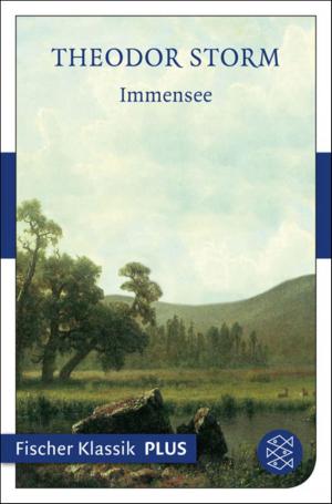 Cover of the book Immensee by Christoph Ransmayr