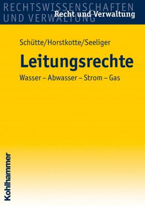 Cover of the book Leitungsrechte by Dieter B. Schütte, Michael Horstkotte, Olaf Hünemörder, Jörg Wiedemann