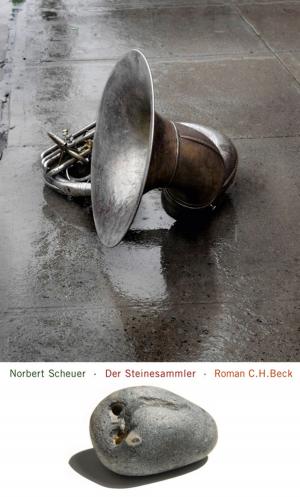 Cover of the book Der Steinesammler by Thomas Köhler