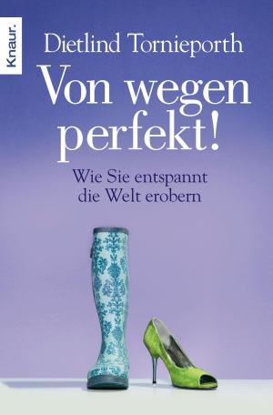 Cover of the book Von wegen perfekt! by Heinrich Steinfest