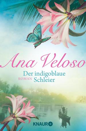 Book cover of Der indigoblaue Schleier
