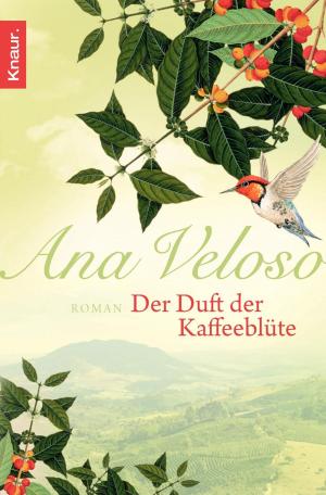 Cover of the book Der Duft der Kaffeeblüte by Heidi Rehn