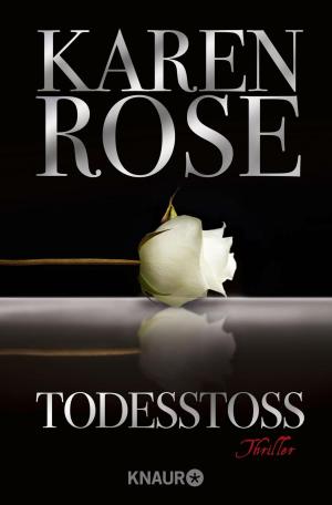 Cover of the book Todesstoß by Kim Hunter
