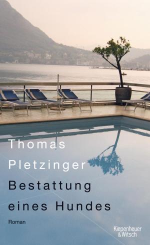 Cover of the book Bestattung eines Hundes by Uwe Timm