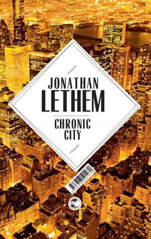 Book cover of Chronic City