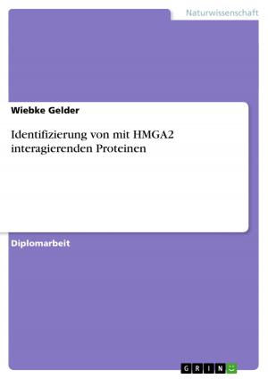 Book cover of Identifizierung von mit HMGA2 interagierenden Proteinen