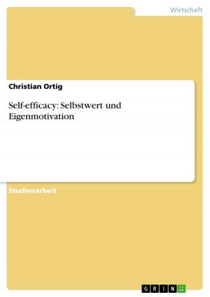Cover of the book Self-efficacy: Selbstwert und Eigenmotivation by David Bannas