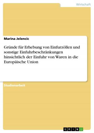 Cover of the book Gründe für Erhebung von Einfurzöllen und sonstige Einfuhrbeschränkungen hinsichtlich der Einfuhr von Waren in die Europäische Union by Folko Damm