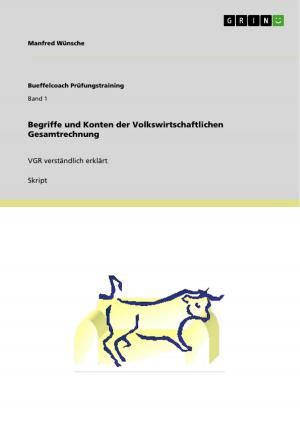 Cover of the book Begriffe und Konten der Volkswirtschaftlichen Gesamtrechnung by Christoph Wolf