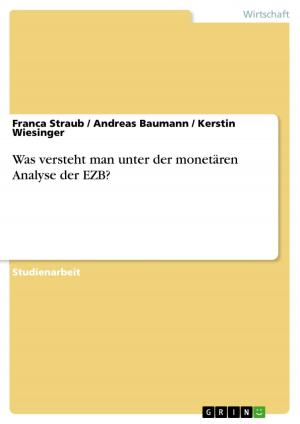 Cover of the book Was versteht man unter der monetären Analyse der EZB? by Anna-Maria Seyffert