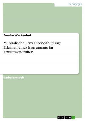 Cover of the book Musikalische Erwachsenenbildung: Erlernen eines Instruments im Erwachsenenalter by Natascha Malsam