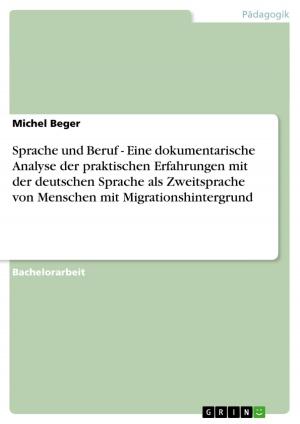 Book cover of Sprache und Beruf - Eine dokumentarische Analyse der praktischen Erfahrungen mit der deutschen Sprache als Zweitsprache von Menschen mit Migrationshintergrund