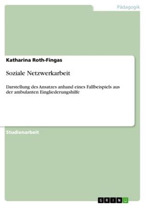 Cover of the book Soziale Netzwerkarbeit by Sebastian Selle
