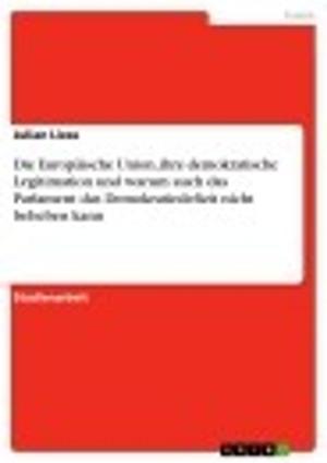 Cover of the book Die Europäische Union, ihre demokratische Legitimation und warum auch das Parlament das Demokratiedefizit nicht beheben kann by Christian Richter