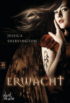 Cover of the book Erwacht by Adriana Popescu