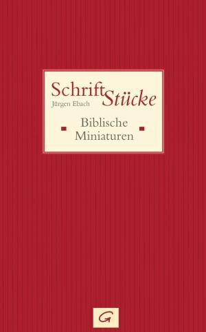 Cover of the book Schrift-Stücke by Jörg Zink