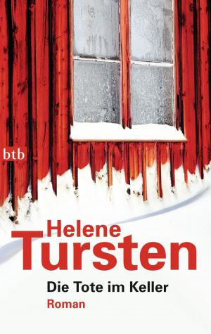 Book cover of Die Tote im Keller