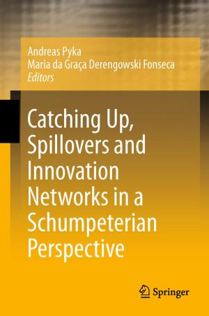 Cover of the book Catching Up, Spillovers and Innovation Networks in a Schumpeterian Perspective by Clara Matesz, George Szekely