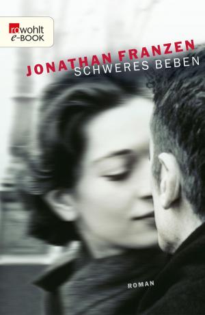 Cover of the book Schweres Beben by Petra Hartlieb