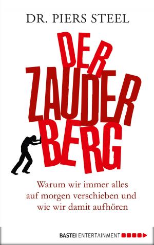 Cover of the book Der Zauderberg by Nili Landesman