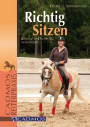Cover of the book Richtig Sitzen by Karin Kattwinkel