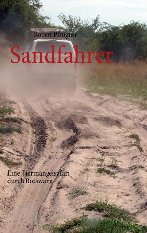 Cover of the book Sandfahrer by Heinz Joachim Stübler
