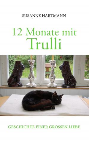 Book cover of 12 Monate mit Trulli