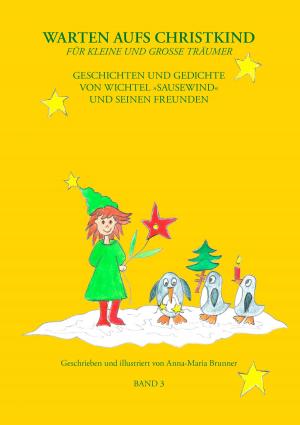 Cover of the book Warten aufs Christkind - Band 3 by Stefan Nägele