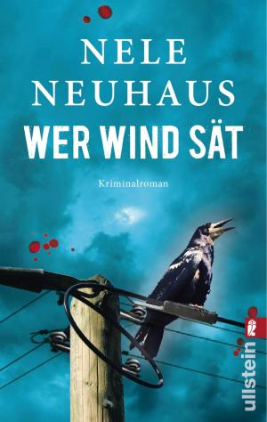 Cover of the book Wer Wind sät by Camilla Läckberg