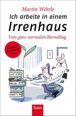 Cover of the book Ich arbeite in einem Irrenhaus by Tobias Mann