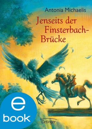 Book cover of Jenseits der Finsterbach-Brücke