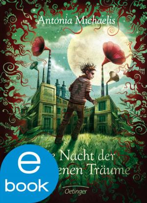 Cover of the book Die Nacht der gefangenen Träume by Marcus Pfister