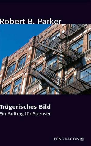 Cover of Trügerisches Bild
