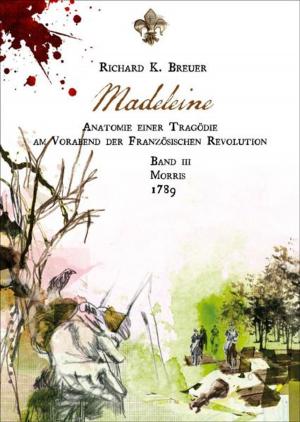 Cover of the book Madeleine by Laura Vosika